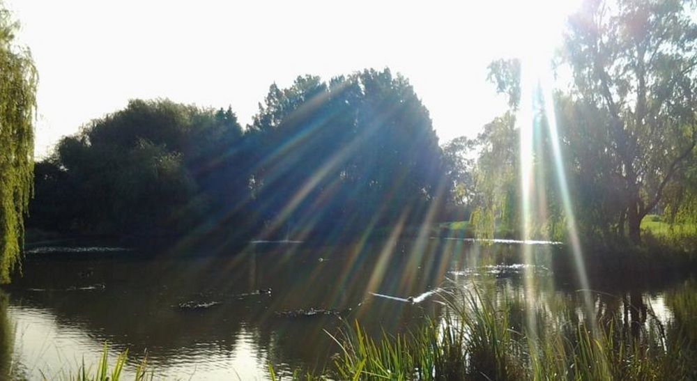 בואוראל Briars Country Lodge מראה חיצוני תמונה